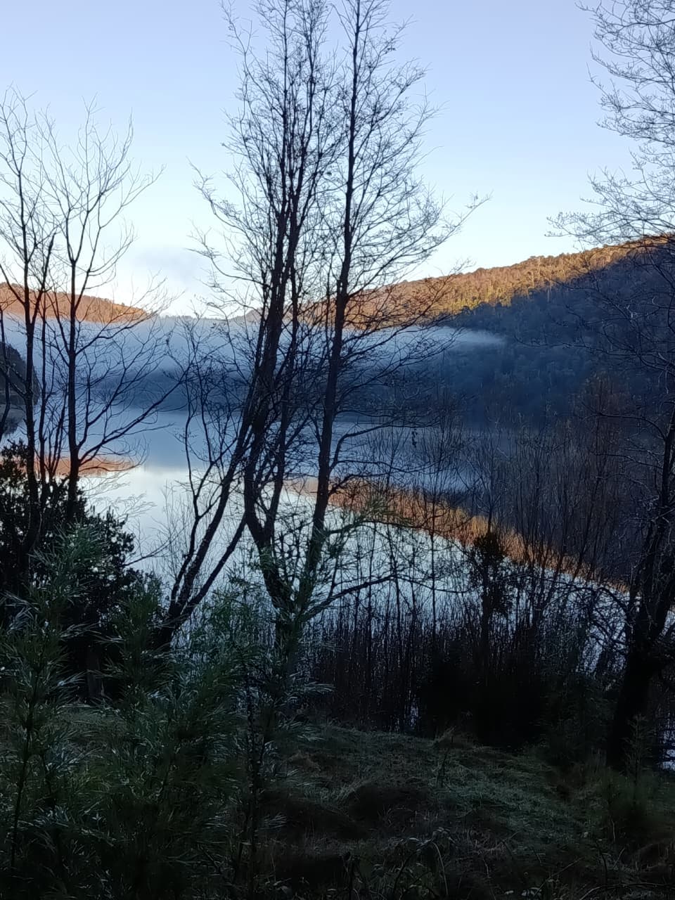 Vista del Lago Tinquilco entre árboles sin hojas al amanecer con cerros reflejados