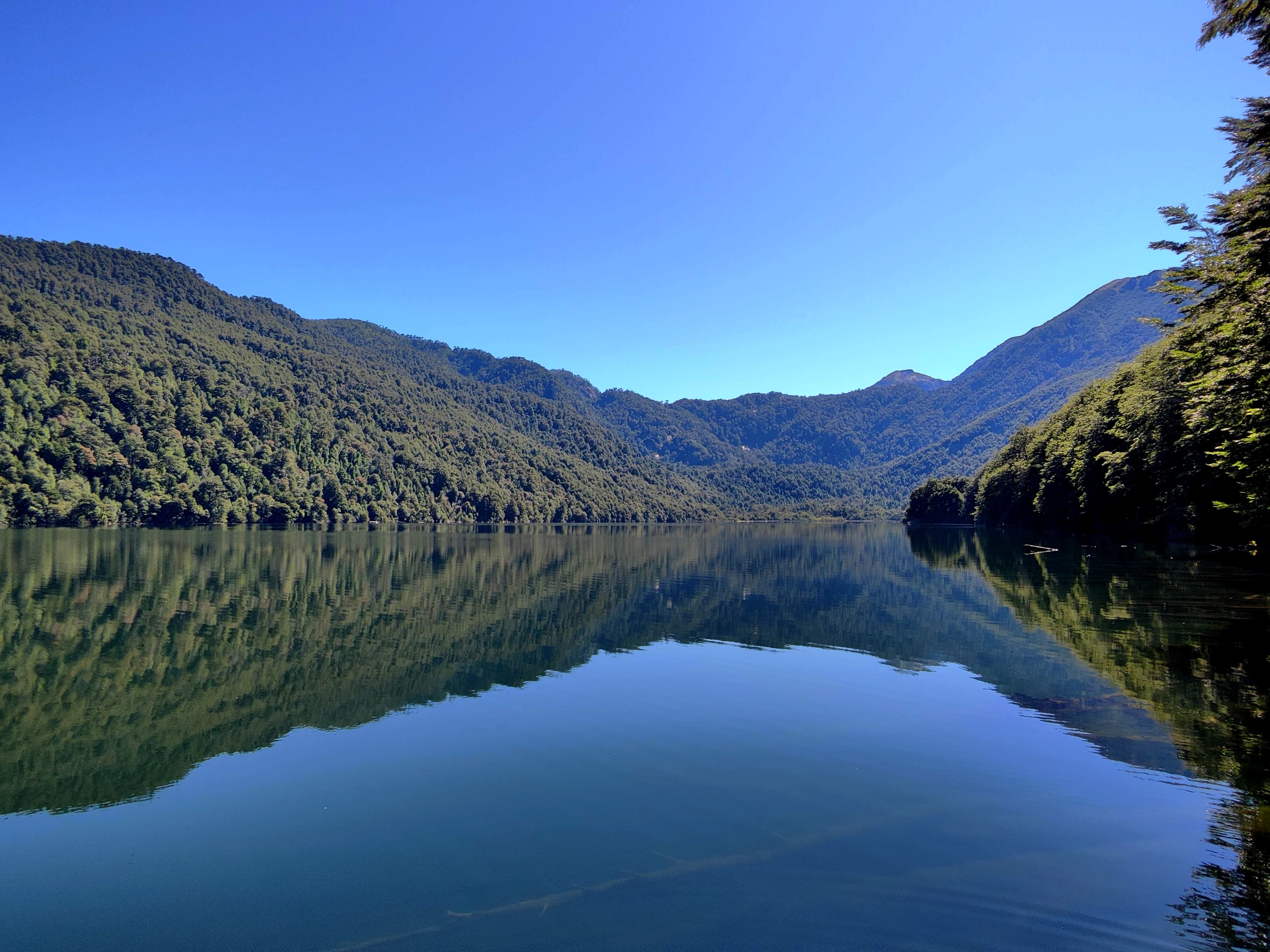 Vista del Lago Tinquilco hacia el norte con bosque nativo en las orillas