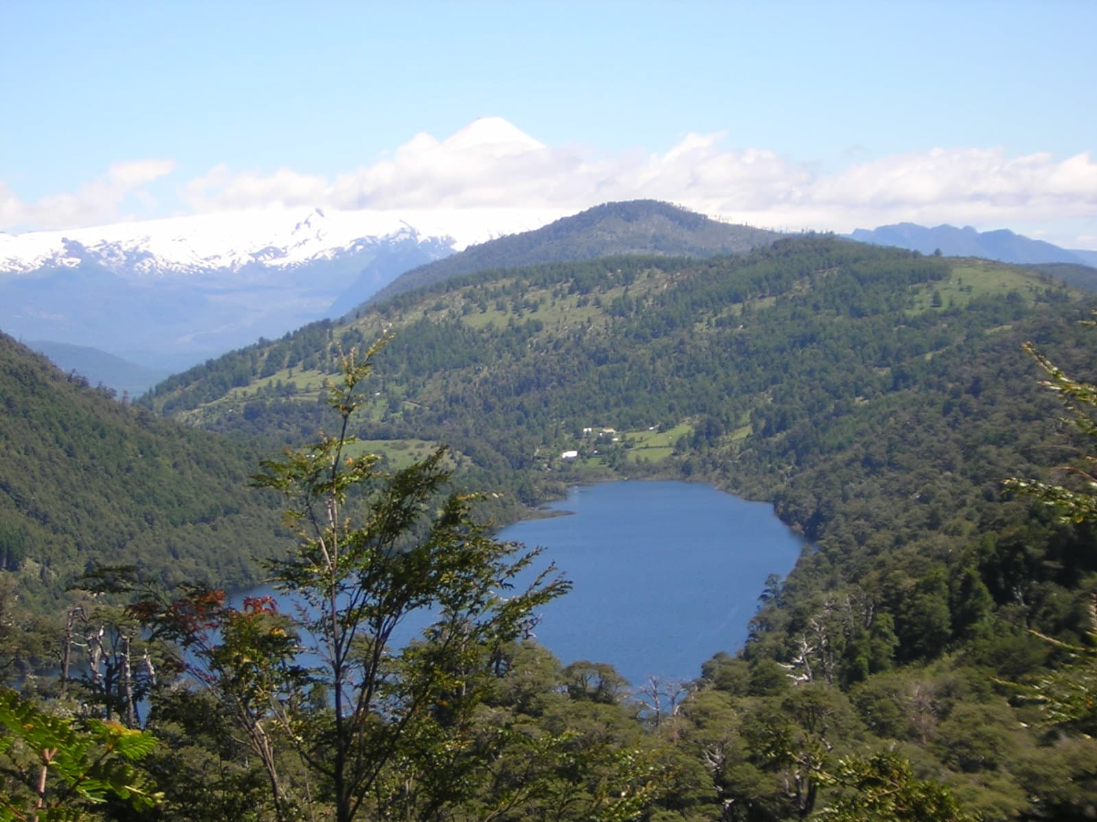 Vista panorámica aérea del Lago Tinquilco rodeado de bosque nativo y montañas